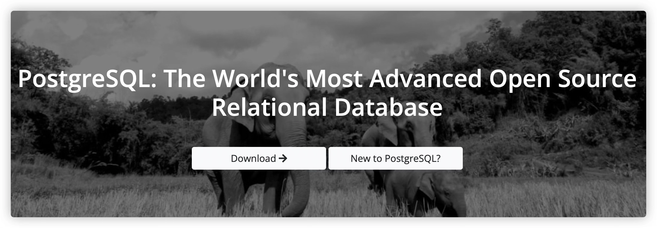 PostgreSQL 备份恢复